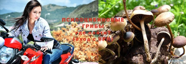мет Козельск