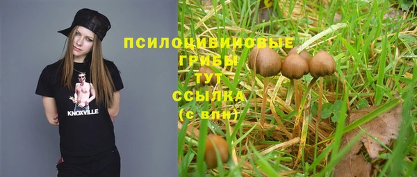 мяу мяу кристалл Козловка